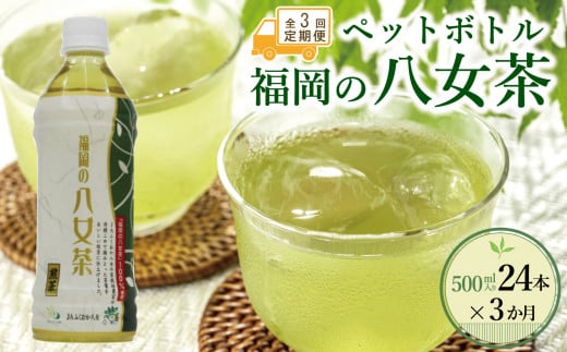 【全3回毎月定期便】八女茶 煎茶ペットボトル 500ml×24本 1923732 - 福岡県大川市