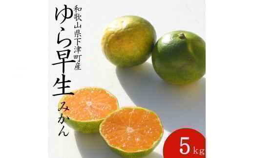 ゆら早生【訳あり】5kg 2S3Sサイズ【小玉のゆら早生みかん】10月～11月 まごころ産直みかんより農園直送 ※北海道・沖縄・離島への配送不可 2078523 - 和歌山県海南市