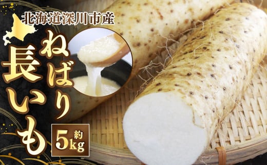 《令和7年産 先行受付》北海道深川市産 ねばり長いも 約5kg 【2025年11月上旬-11月下旬 発送予定】 長芋 ながいも 芋 イモ 根菜 2028200 - 北海道深川市
