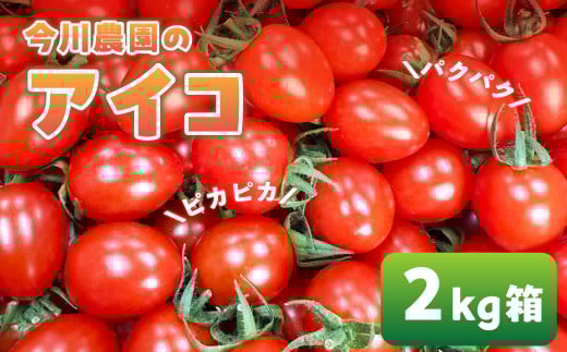 【ふるさと納税】【先行予約】今川農園のミニトマト アイコ 2kg 先行予約受付 期間限定 季節限定 野菜 国産 完熟 やさい フルーツ トマト 完熟 千果 ミニトマト イエロー プチトマト イエロートマト プチ お弁当 贈り物 おやつ サラダ 送料無料 産地直送 2098517 - 愛知県田原市