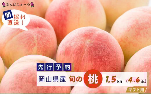 【2025年先行予約】［なんばふぁーむ］岡山県産 旬の桃 1.5kg（4～6玉）[ギフト用]
