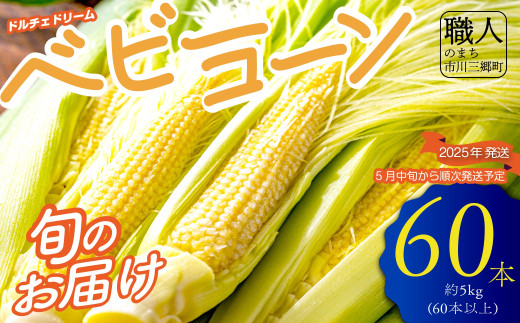 【2025年5月中旬から発送】 ドルチェドリームのベビーコーン 5kg（60本以上）Kai Sweet Farm（山梨県市川三郷町産）[5839-2209]