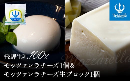 飛騨生乳100％ モッツァレラ1個 &  モッツァレラチーズ生ブロック1個セット | セット チーズ 冷蔵 濃厚 低温殺菌 乳製品 おいしい 人気 株式会社リアライン LF018 2081165 - 岐阜県高山市
