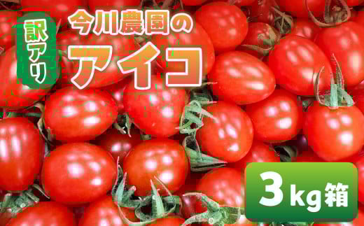 【ふるさと納税】【先行予約】今川農園のミニトマト 訳ありアイコ 3kg 先行予約受付 期間限定 季節限定 野菜 国産 完熟 やさい フルーツ トマト 完熟 千果 ミニトマト イエロー プチトマト イエロートマト プチ お弁当 贈り物 おやつ サラダ 送料無料 産地直送