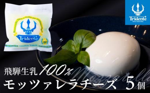 飛騨生乳100％ モッツァレラチーズ5個 セット | セット チーズ 冷蔵 濃厚 低温殺菌 乳製品 おいしい 人気 株式会社リアライン LF019 2081166 - 岐阜県高山市