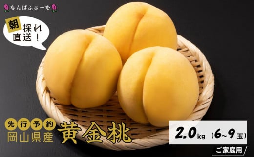 【2025年先行予約】［なんばふぁーむ］岡山県産 黄金桃 2.0kg（6～9玉）［ご家庭用］