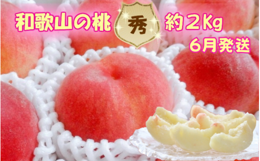 【秀品】和歌山ブランド白桃 約2kg！ 2025年6月発送分【NGT5】【ngt301】