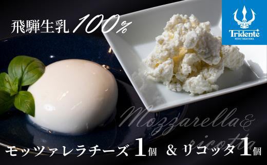 飛騨生乳100％ モッツァレラ1個＆リコッタ1個セット | セット チーズ 冷蔵 濃厚 低温殺菌 乳製品 おいしい 人気 株式会社リアライン LF011 2081158 - 岐阜県高山市