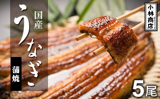 うなぎの六三 こばやし商店 国産 蒲焼うなぎ 約135g×5尾 自家製たれ5個付 木箱入【1607946】