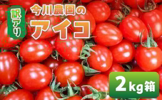 【ふるさと納税】【先行予約】今川農園のミニトマト 訳ありアイコ 2kg 先行予約受付 期間限定 季節限定 野菜 国産 完熟 やさい フルーツ トマト 完熟 千果 ミニトマト イエロー プチトマト イエロートマト プチ お弁当 贈り物 おやつ サラダ 送料無料 産地直送 2098520 - 愛知県田原市