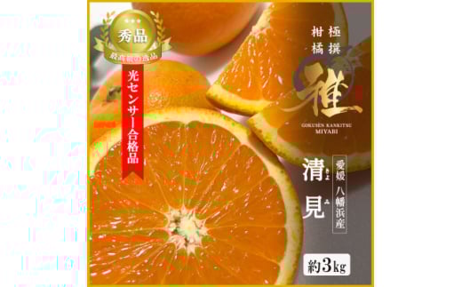 2026年3月出荷開始　極撰柑橘＜雅＞光センサー合格品・完熟「清見」3キロ＜C39-56＞【1462396】 1117075 - 愛媛県八幡浜市