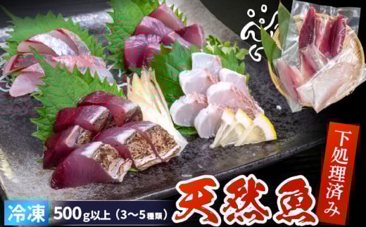 天然 鮮魚 詰め合わせ 朝獲れ直送 下処理済み 2~3種入り 500g以上 （2025年7月出荷） 冷凍 刺身 魚種お任せ 水揚げ 海鮮 魚介 産地直送 新鮮 魚 鮮魚ボックス 1734102 - 高知県須崎市