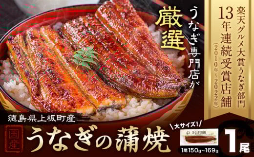 楽天グルメ大賞13年連続受賞!うなぎ屋かわすい 国産うなぎの蒲焼 1尾 (1尾150g-169g) 川口水産株式会社[30日以内に出荷予定(土日祝除く)]徳島県 上板町 鰻 うなぎ ウナギ 鰻の蒲焼き 蒲焼 蒲焼き 国産