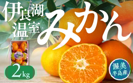 【先行予約】伊良湖 温室みかん 2kg みかん 温室みかん 蜜柑 フルーツ 果物 愛知県 田原市 渥美半島 お取り寄せ 2051982 - 愛知県田原市