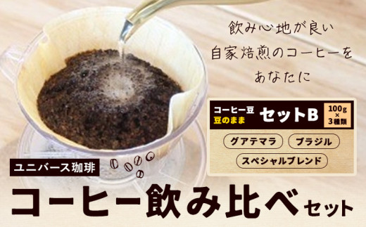 コーヒー豆セット セットB 豆のまま グアテマラ スペシャルブレンド ブラジル (各100g) ユニバース珈琲 [90日以内に出荷予定(土日祝除く)] コーヒー 豆 セット 飲み比べ[配送不可地域あり](沖縄・離島)