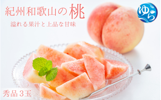 桃【2025年先行予約】＼レビューキャンペーン中！／ 秀品　紀州和歌山産の桃　３玉　化粧箱入【2025年7月上旬より順次発送】桃 モモ フルーツ 果物 くだもの 人気 産地直送 厳選 甘い 予約 もも フルーツ王国【uot750】 910708 - 和歌山県由良町