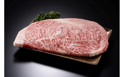 博多和牛【A4～A5】（ヒレ150g＆サーロイン250g）　各1枚　計400g 2081201 - 福岡県大川市