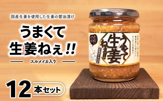＼レビュー投稿でお米プレゼント／スルメイカ入りうまくて生姜ねぇ!!12本セット 【しょうが 国産 醤油漬け するめいか ごはんのお供 お弁当 調味料 おつまみ 肴 薬味 隠し味 猪苗代町 福島県】[№5771-1335] 2129596 - 福島県猪苗代町