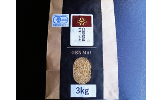 [新米先行予約][毎月定期12回]令和7年産 新米 自然農法 ササニシキ 3kg[玄米]