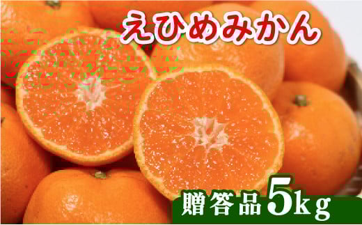 【先行受付】贈答品 愛媛みかん 5kg (傷み保証250g) 発送期間 2025年11月上旬以降 みかん 愛媛みかん 温州みかん 南柑20号 柑橘 蜜柑 かんきつ 冬 秋 旬 正月 愛媛 愛媛県 愛南町 お歳暮 プレゼント くだもの 果物 フルーツ スイーツ おやつ お菓子 和菓子 甘い 糖度 オレンジ 冷凍 みかん ジュース 清家ばんかんビレッジ