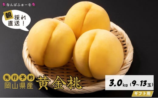 【2025年先行予約】［なんばふぁーむ］岡山県産 黄金桃 3.0kg（9～13玉）[ギフト用]