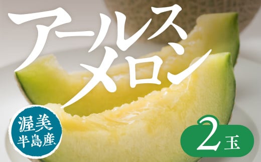 【先行予約】アールスメロン 2玉 入りメロン アールスメロン フルーツ 果物 愛知県 田原市 渥美半島 お取り寄せ ギフト 贈り物 プレゼント 贈答 贈答用 2051981 - 愛知県田原市