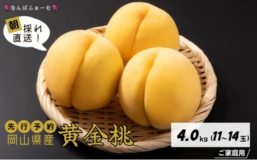 【2025年先行予約】［なんばふぁーむ］岡山県産 黄金桃 4.0kg（11～14玉）［ご家庭用］