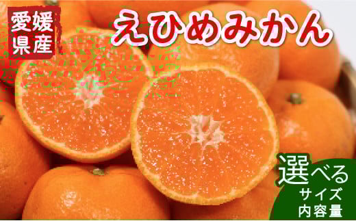 【先行受付】選べる 訳あり 愛媛みかん  (傷み保証250g)  発送期間 2025年11月上旬以降 2kg 3kg 5kg 10kg 訳あり 小玉 みかん 贈答品 愛媛みかん 温州みかん 南柑20号 柑橘 蜜柑 かんきつ 冬 旬 おすそ分け シェア 愛媛県 愛南町 お歳暮 プレゼント くだもの 果物 フルーツ スイーツ おやつ お菓子 甘い 糖度  みかん 清家ばんかんビレッジ