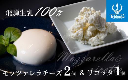 飛騨生乳100％ モッツァレラ2個 & リコッタ1個セット | セット チーズ 冷蔵 濃厚 低温殺菌 乳製品 おいしい 人気 株式会社リアライン LF013 2081160 - 岐阜県高山市