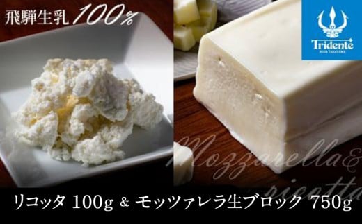 飛騨生乳100％ リコッタ1個 &  モッツァレラチーズ生ブロック1個セット | セット チーズ 冷蔵 濃厚 低温殺菌 乳製品 おいしい 人気 株式会社リアライン LF017 2081164 - 岐阜県高山市