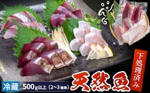 天然 鮮魚 詰め合わせ 朝獲れ直送 下処理済み 2~3種入り 500g以上 （2025年5月出荷） 冷蔵 刺身 魚種お任せ 水揚げ 海鮮 魚介 産地直送 新鮮 魚 鮮魚ボックス 1734108 - 高知県須崎市