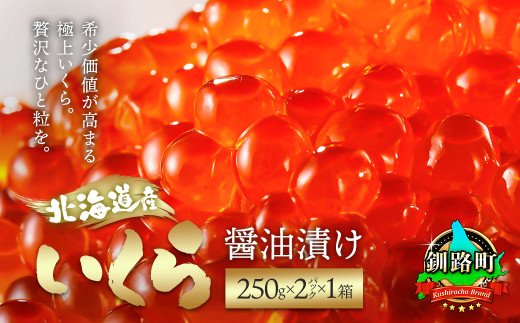 [10月配送]いくら醤油漬け 500g(250g ×2パック) [発送時期が選べる] 国産 いくら いくら醤油漬 イクラ ikura 天然 鮭 サーモン 鮭卵 鮭いくら 冷凍 配送 選べる 指定 配送月指定 配送月が選べる 魚介類 海鮮 絶品 人気 笹谷商店 贈答用 贈答品 直営 釧之助本店 北海道 釧路町 釧路超 特産品 br01