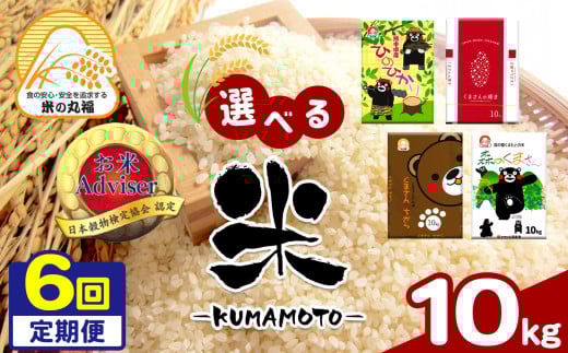【定期便6回】熊本県産 ひのひかり 10kg×6回 | 米 こめ お米 おこめ 白米 精米 定期 定期便 熊本県 玉名市 322674 - 熊本県玉名市