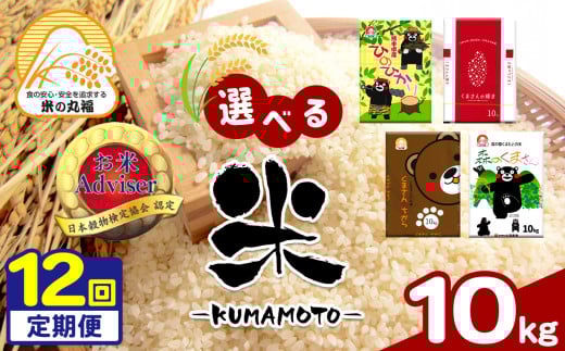 【定期便12回】 熊本県産 森のくまさん 10kg×12回 | 米 こめ お米 おこめ 白米 精米 定期 定期便 熊本県 玉名市 322683 - 熊本県玉名市