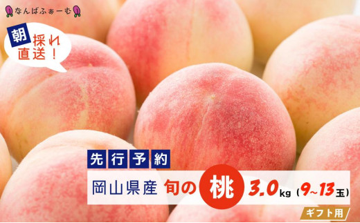【2025年先行予約】［なんばふぁーむ］岡山県産 旬の桃 3.0kg（9～13玉）[ギフト用]