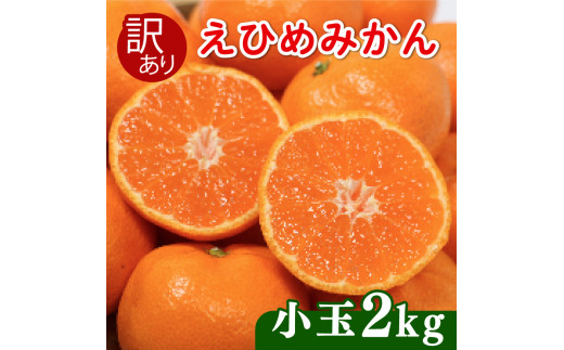 [先行受付]訳あり 愛媛みかん 小玉 2kg (傷み保証250g) 発送期間 2025年11月上旬以降 みかん 愛媛みかん 温州みかん 南柑20号 柑橘 蜜柑 かんきつ 冬 秋 旬 正月 愛媛 愛媛県 愛南町 お歳暮 プレゼント くだもの 果物 フルーツ スイーツ おやつ お菓子 和菓子 甘い 糖度 オレンジ 冷凍 みかん ジュース 清家ばんかんビレッジ