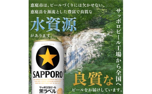 サッポロ　黒ラベル　48本（350ml×24本×2箱）