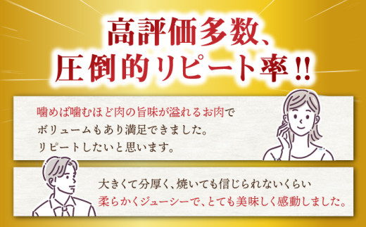 長崎和牛 ヒレ ステーキ 肉