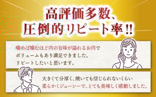 長崎和牛 ヒレ ステーキ 肉