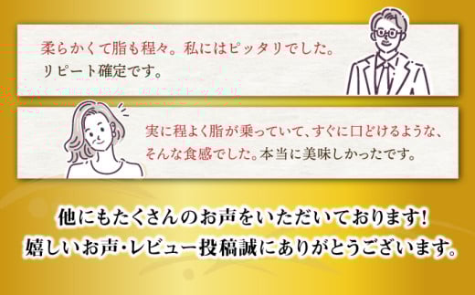 長崎和牛 ヒレ ステーキ 肉