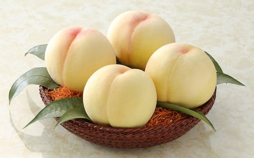 先行予約【約1.3kg】白桃 井頭栄果園