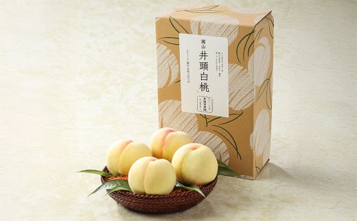 先行予約【約1.3kg】白桃 井頭栄果園