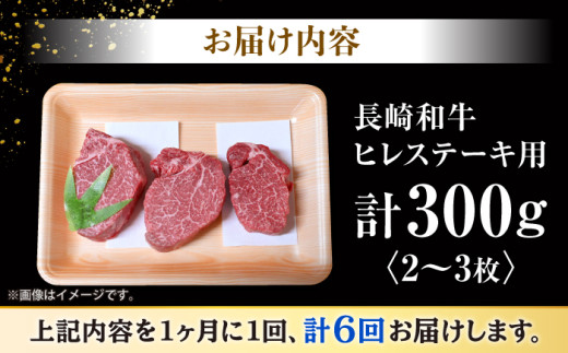 長崎和牛 ヒレ ステーキ 肉