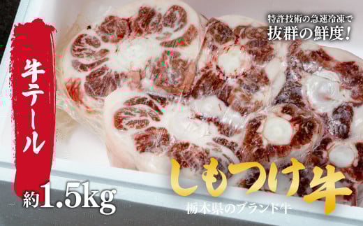 しもつけ牛　国産牛のテール肉約1.5kg | 牛肉 肉 お肉 煮込み料理 シチュー テールスープ 産地直送 国産 国産牛 交雑 赤身 霜降り 希少 旨味 旨み 熟成 急速冷凍 テクニカン テクニカン社 スキンパック 真空パック 真空包装 コラーゲン コトラミートカルチャ 栃木県 茂木町 2059482 - 栃木県茂木町