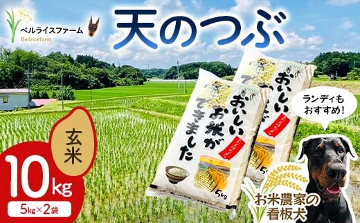 〈先行予約〉令和7年産 農家直送 ベルライスファームの天のつぶ 玄米10kg F6U-179 2102456 - 福島県矢吹町