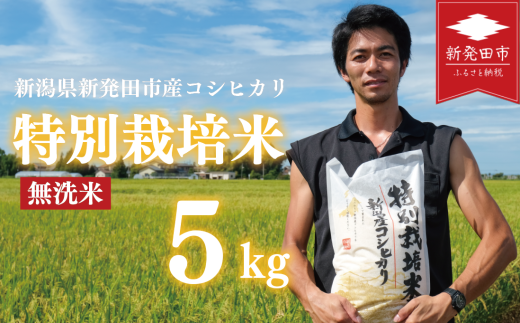新米 無洗米 コシヒカリ 5kg 令和7年産 先行予約 こしひかり 特別栽培 米 コメ お米 米 こめ ご飯 備蓄 新潟米 新潟県産 新潟産 新潟県 新発田市 新発田 斗伸 toushin001_02