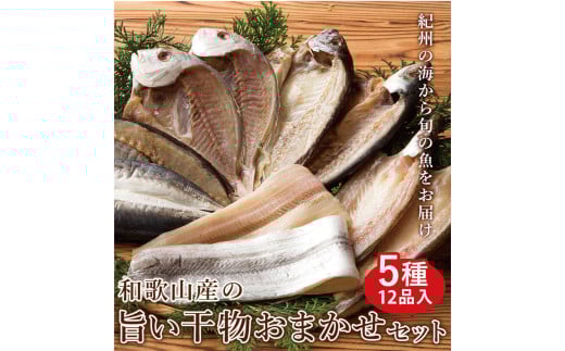 和歌山産 干物詰め合わせセット 5種12品入り【無添加・無着色】【mtgn106】 480739 - 和歌山県由良町