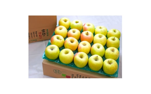 ＜26年2月出荷予定＞平均糖度13度以上! ぐんま名月 約10kg おもてなし用【1612884】 2084253 - 青森県青森市