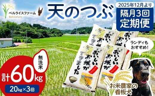 【お米の定期便 2025年12月より隔月3回配送】農家直送 天のつぶ 無洗米 20kg 全3回 F6U-187