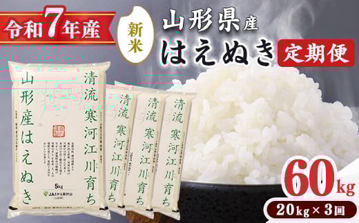 ＜ 2025年11月下旬より隔月3回 ＞【令和7年産 定期便】はえぬき計60kg！お米 定期便（20kg×3回）！清流寒河江川育ち 山形産はえぬき 2025年産　195-C-JA014-202511下